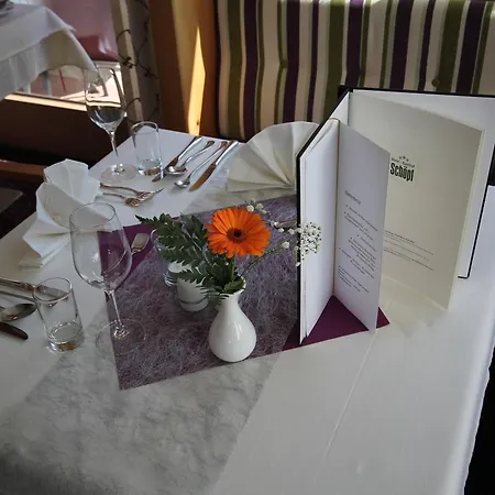 Hotel Schoepf 3*
